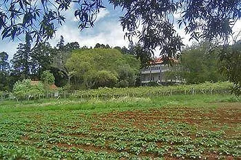 Quinta Das Colmeias * Santo Antonio da Serra