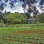 Quinta Das Colmeias * Santo Antonio da Serra